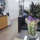 모아미래도경로당 이미지