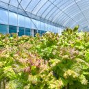 해돈농장 이미지