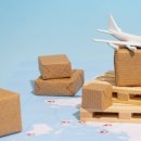 B.L비엘 티스토리