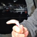 메가보트스테이 이미지