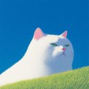 (주)아이디어피크닉 | [서울 전시] 종로 피크닉 전시 / 사운드워크 컬렉티브...끝나지 않을 대화 후기(feat. 남대문시장)