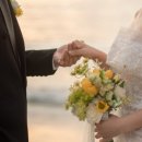 부산국제행정사사무소 이미지