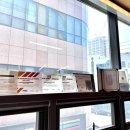 짐나빌레라 이미지