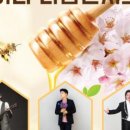 사단법인 국제푸른나무 이미지