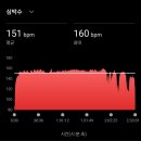 팔마주경기장 다문 화장실 | 제25회 순천 남승룡 마라톤 full 코스 참가 후기 / 2025.11.08 / DNF