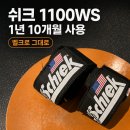 쉬크 | 쉬크 1100WS 손목보호대 후기, 1년 10개월 내구성