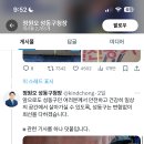 짤방커트 이미지
