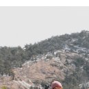 준식농장 이미지