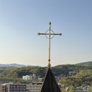 요한성당 | 블원장 일상일기_* 분당성요한성당:본당투어