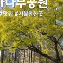 정자나무공원 이미지