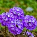 대덕식당 이미지