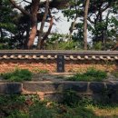 고대도4 이미지