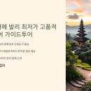 네버엔딩인발리투어 이미지