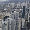 부동산