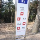 남천-5(산전리,대명1리(청도방향) 버스정류장 옆) | 성암산-병풍산-동학산-경흥사