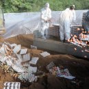 민정농장 이미지