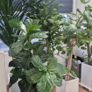 글로벌 행정사 이미지