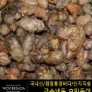 (주)한려식품