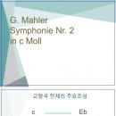 말러 2 심포지움 PT 자료 - 4,5악장 (빅터님) 이미지