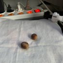 뽑기클라쓰 | 10월 일상 (+ 먹부림 기록🐷)