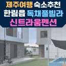 신트라움 네이버블로그