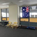 Rapport Canine 이미지