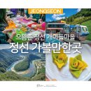강원도 1박 2일 강원도 정선 가볼만한곳 으뜸촌 개미들마을 外