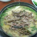 홍길동 흑염소 이미지