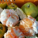 호호 닭 농장 이미지