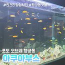 수원 행궁동 아쿠아부스 솔직 후기 요즘 뜬다길래 가봤는데…
