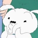 제주달다 이미지