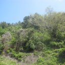 남해-236 이미지