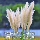 멈춤 버림 기다림의 지혜 이미지