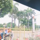 돈비락 | 세부, 필리핀 20200124 -20200125