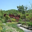 한택식물원 이미지