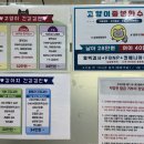 송림동물병원 이미지