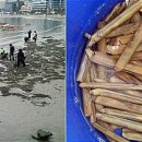 청정해역 이미지