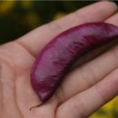 배바우농장 이미지