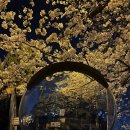 월영동119 | 나는야 가난핑 기절핑