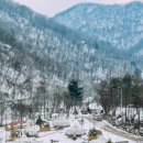 라플란드 | 라플란드 캠핑장, 강원도 겨울여행 감성 숙소 감성 글램핑 _라플란드 후기