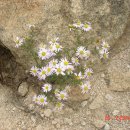 노을이야기 이미지