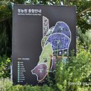 반쪽하늘 | 가볼만한곳] 울산에서 370km를 달려 만난 보랏빛 풍경, 고창 청농원 라벤더 축제 아쉬운 반쪽짜리 후기