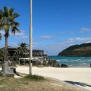 바띠에 | 제주함덕근처숙소 마농바띠 대형온수풀과 풍차뷰