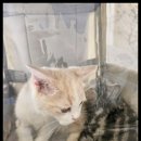 진안동물병원 이미지