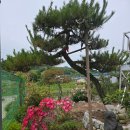 주석농장 네이버블로그