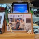 스시 하하호호