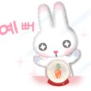 사바나동물병원