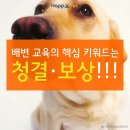 올어바웃펫 이미지