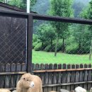 현구목장 이미지