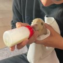 천하동물약품 이미지